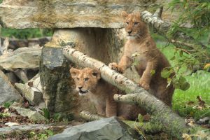 السياحة في اسطنبول و بورصة 7 أيام و 6 ليالي