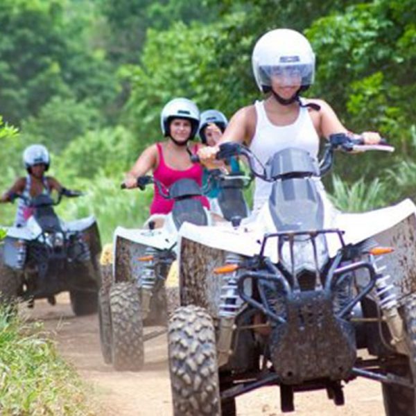 الرحلات اليومية