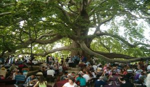 رحلة مدينة بورصا رحلة مدينة بورصا