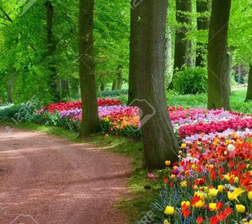 رحلة اسطنبول-ابانت-سابنجا مع سيارة وسايق خاص السعر 1255 دولار