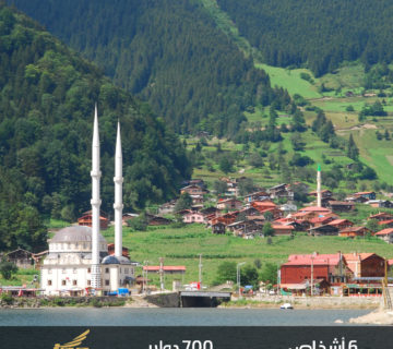 عرض الشتاء للعائلات في طرابزون